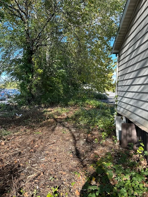 Area where trees and brush has been cleared away.